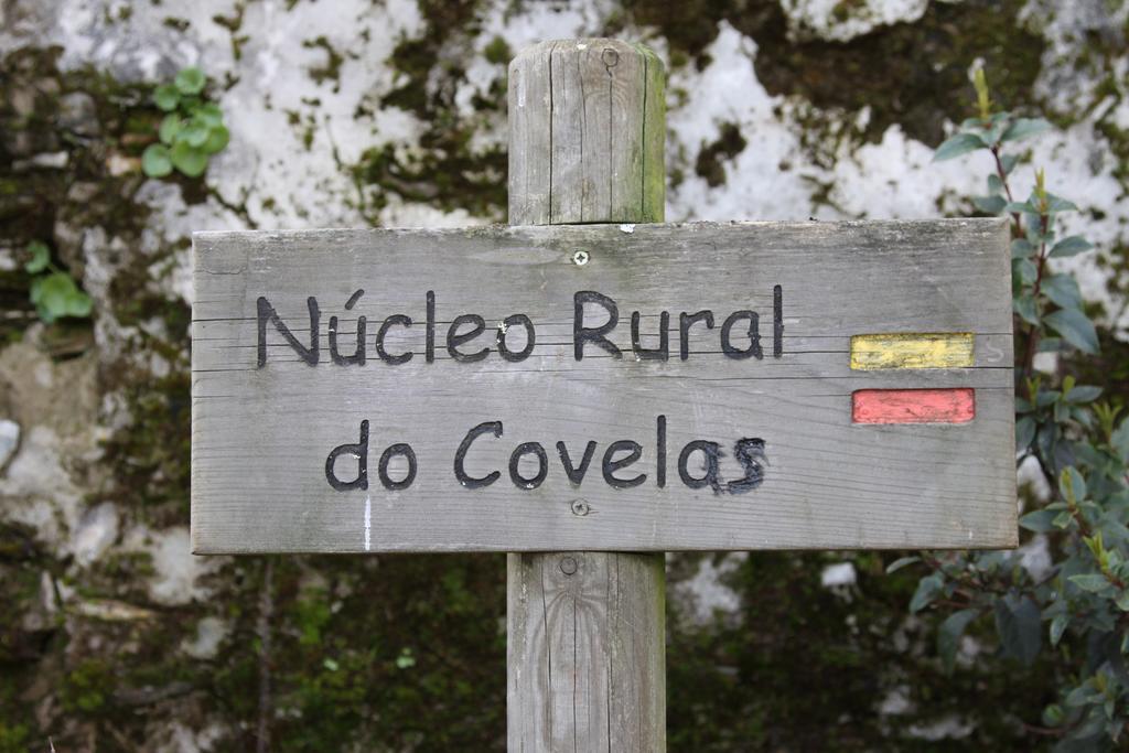 Alojamento Rural De Covelas Covelas  Exterior photo